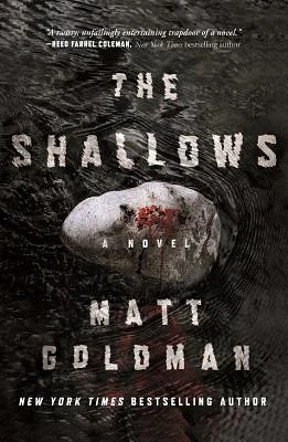 The Shallows: A Nils Shapiro Novel (Hardcover)