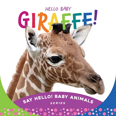 Hello Baby Giraffe! (Board Books)