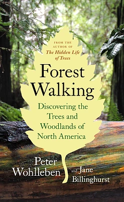 Forest Walking: Discovering the Trees and Woodlands of North America (Paperback)