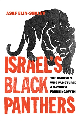 Israel's Black Panthers: The Radicals Who Punctured a Nation's Founding Myth (Hardcover)