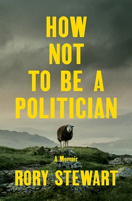 How Not to Be a Politician: A Memoir (Hardcover)