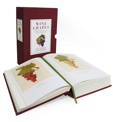 Wine Grapes: A Complete Guide to 1,368 Vine Varieties, Including Their Origins and Flavours (Hardcover)