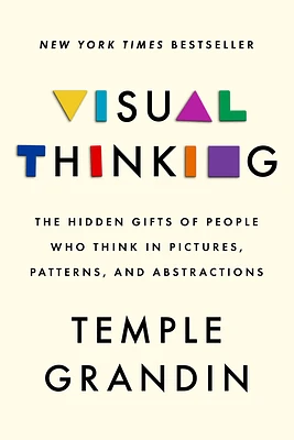 Visual Thinking: The Hidden Gifts of People Who Think in Pictures, Patterns