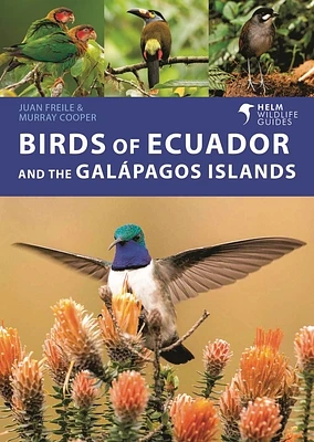 Birds of Ecuador and the Galápagos Islands (Helm Wildlife Guides) (Paperback)