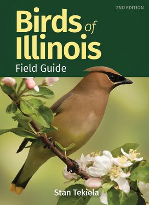 Birds of Illinois Field Guide (Bird Identification Guides) (Paperback)