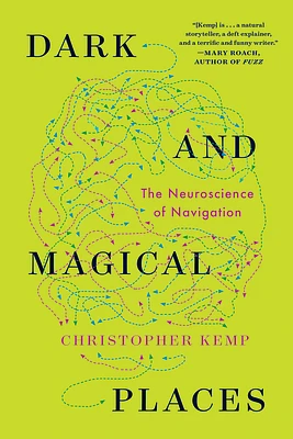 Dark and Magical Places: The Neuroscience of Navigation (Paperback)