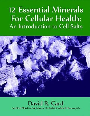 12 Essential Minerals for Cellular Health: An Introduction to Cell Salts (Paperback)