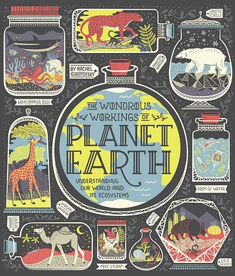 The Wondrous Workings of Planet Earth: Understanding Our World and Its Ecosystems (Hardcover)