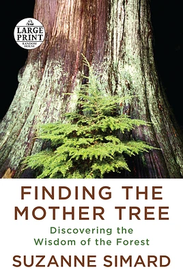 Finding the Mother Tree: Discovering the Wisdom of the Forest (Large Print / Paperback)