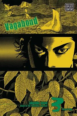 Vagabond (VIZBIG Edition), Vol. 3 (Paperback)