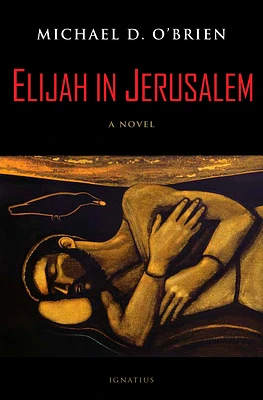 Elijah in Jerusalem: A Novel (Hardcover)