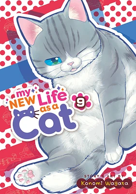 My New Life as a Cat Vol. 9 (Paperback)