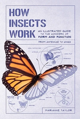 How Insects Work: An Illustrated Guide to the Wonders of Form and Function - from Antennae to Wings (How Nature Works) (Paperback)