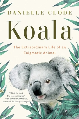 Koala: The Extraordinary Life of an Enigmatic Animal (Paperback)