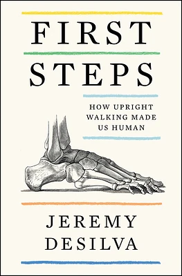 First Steps: How Upright Walking Made Us Human (Hardcover)