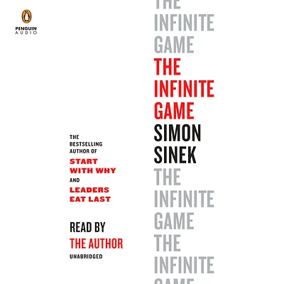 The Infinite Game (CD-Audio)