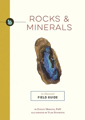 Rocks and Minerals: An Illustrated Field Guide (Paperback)