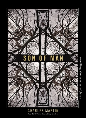 Son of Man: Retelling the Stories of Jesus (Paperback)