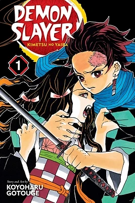 Demon Slayer: Kimetsu no Yaiba, Vol. 1 (Paperback)