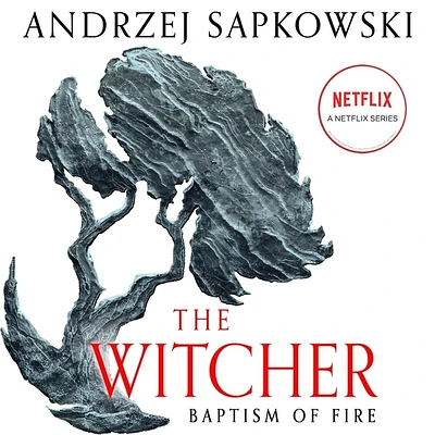 Baptism of Fire Lib/E (Witcher #5) (Compact Disc)