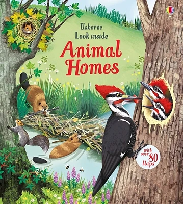 Look Inside Animal Homes (Board book)