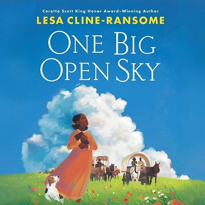 One Big Open Sky (Compact Disc)