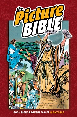 The Picture Bible (Hardcover)