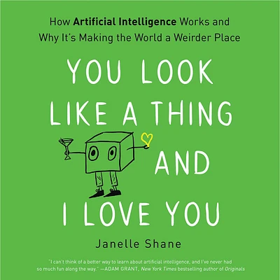 You Look Like a Thing and I Love You Lib/E: How Artificial Intelligence Works and Why It's Making the World a Weirder Place (Compact Disc)