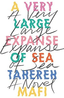 A Very Large Expanse of Sea (Hardcover)