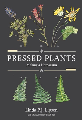 Pressed Plants: Making a Herbarium (Paperback)