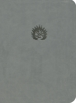 Lbla La Biblia de Estudio de la Reforma, Símil Piel, Gris Claro, Spanish Edition (Imitation Leather)