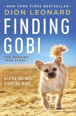 Finding Gobi: A Little Dog with a Very Big Heart