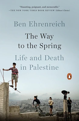 The Way to the Spring: Life and Death in Palestine (Paperback)