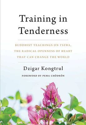 Training in Tenderness: Buddhist Teachings on Tsewa, the Radical Openness of Heart That Can Change the  World (Paperback)