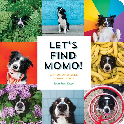 Let's Find Momo!: A Hide-and-Seek Board Book (Board book)