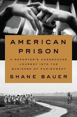 American Prison: A Reporter's Undercover Journey into the Business of Punishment (Hardcover)