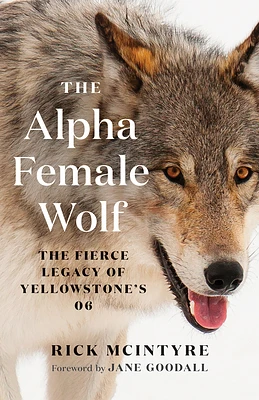 The Alpha Female Wolf: The Fierce Legacy of Yellowstone's 06 (Hardcover)