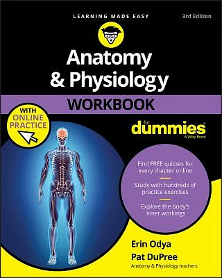 Anatomy & Physiology Workbook for Dummies with Online Practice (Paperback)