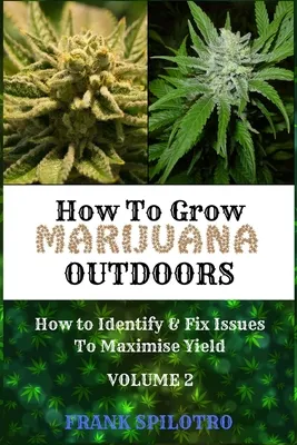 How to Grow Marijuana Outdoors: How to Identify & Fix Issues To Maximise Yield