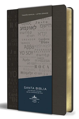 Biblia RVR 1960 letra grande tamaño manual, simil piel gris con nombres de Dios / Spanish Bible RVR 1960 Handy Size Large Print Leathersoft Grey, Names of god (Paperback)