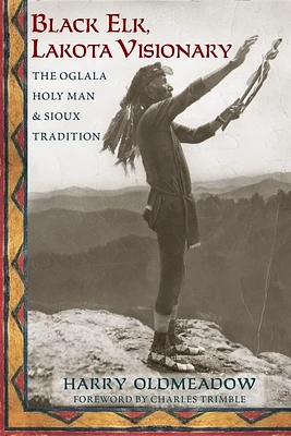 Black Elk, Lakota Visionary: The Oglala Holy Man and Sioux Tradition (Paperback)