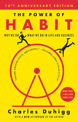 The Power of Habit: Why We Do What We Do in Life and Business (Paperback)