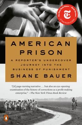 American Prison: A Reporter's Undercover Journey into the Business of Punishment (Paperback)