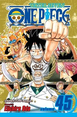 One Piece, Vol. 45 (Paperback)