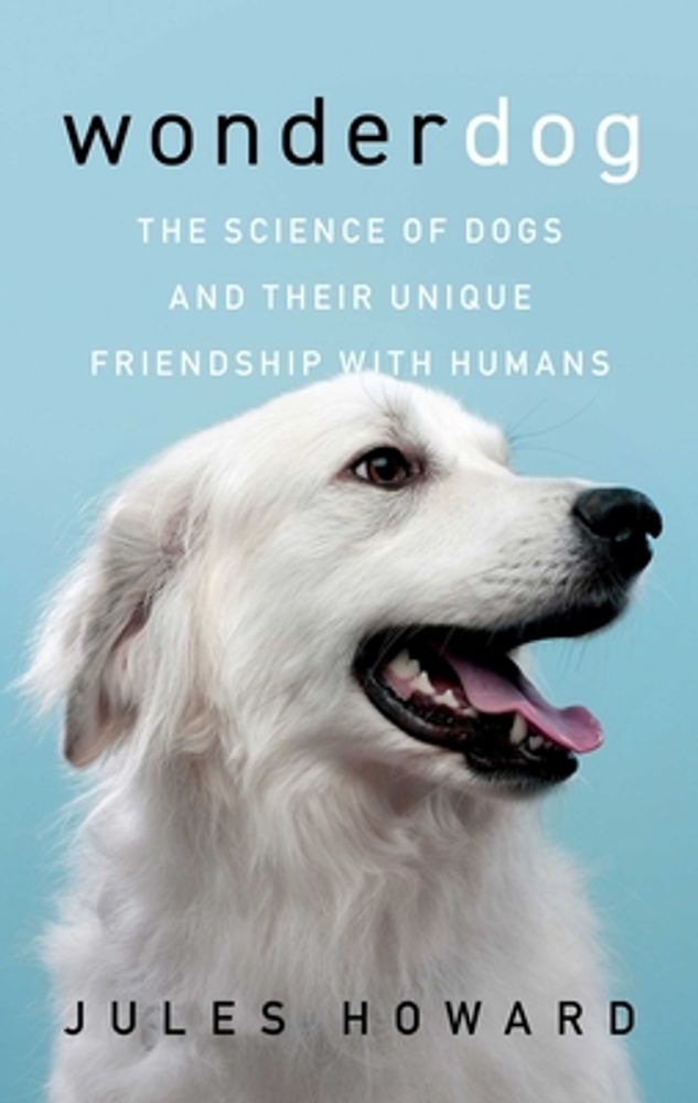 Canine Enrichment for the Real World [Book]