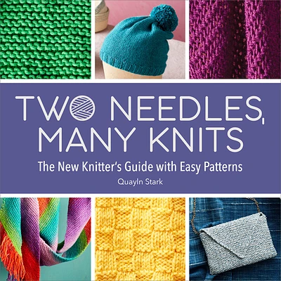 Two Needles, Many Knits: The New Knitter's Guide with Easy Patterns (Paperback)