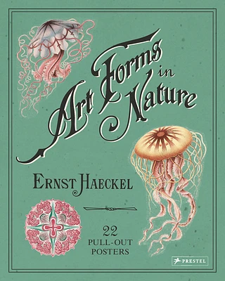 Art Forms in Nature: 22 Pull-Out Posters (Paperback)