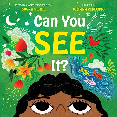 Can You See It?: A Picture Book (Sensing Your World) (Hardcover)