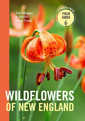 Wildflowers of New England (A Timber Press Field Guide) (Paperback)