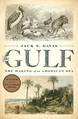 The Gulf: The Making of An American Sea (Hardcover)